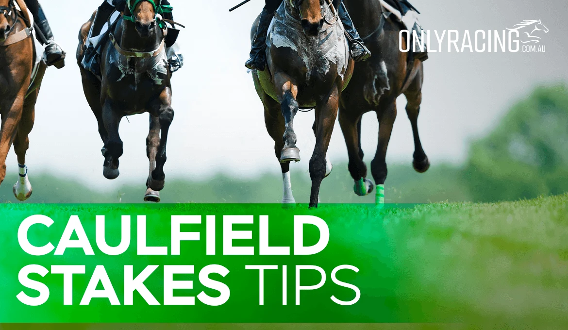 Might and Power Stakes Preview and Tips 12/10/24 OnlyRacing