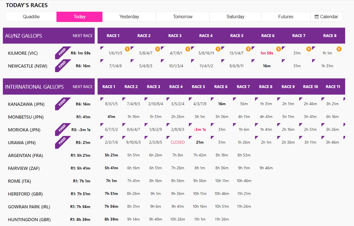 Chasebet Racing Interface